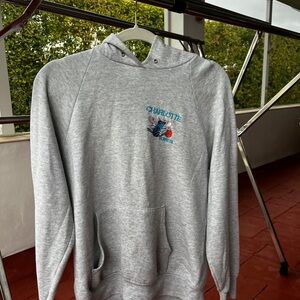 Gray Charlotte Hornets Graphic Hoodie